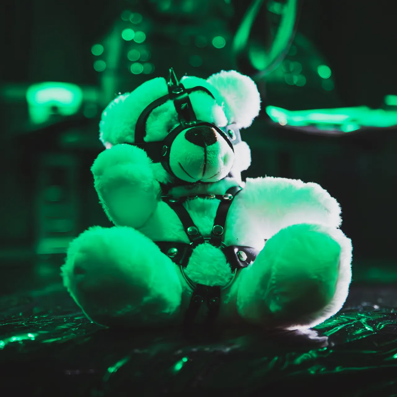 Ein Teddybär mit BDSM Lederstrapsen
